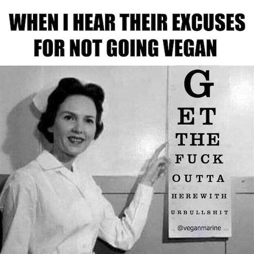 dlaczego nie jestem weganinem mem